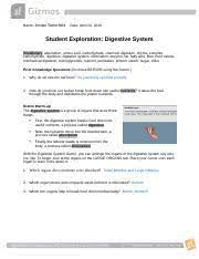 Human digestive system, system used in the human body for the process of digestion. Digestive System Gizmo Docx Trinity Shoemaker Name 10 30 2020 Date Student Exploration Digestive System Vocabulary Absorption Amino Acid Carbohydrate Course Hero