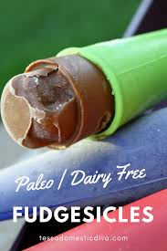 Fudgesicles Dairy Free Paleo Nourishingkidsnacks Frozenpopsicles Healthyfrozentreats Paleopopsicles Health Dairy Free Lactose Free Diet Fudgesicles