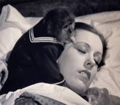 Child Actor in Three Little Pigs Movie Role