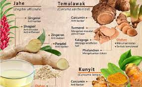 Konsumsi Jamu Empon Empon Untuk Jaga Stamina Tubuh Beritabeta