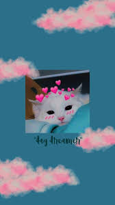 Kumpulan gambar kucing lucu, imut, gemes bisa kamu jadikan wallpaper hp. Pin Oleh Rene Gonzales Di Lockscreen Anak Kucing Gemas Anak Kucing Menggemaskan Gambar Hewan Lucu