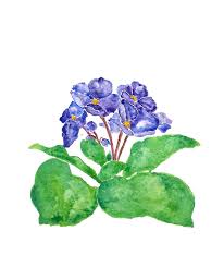 Get design inspiration for painting projects. Purple African Violet Watercolor Painting Painting By Color Color