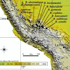 We did not find results for: Map Of The Peruvian Andes Showing The Type Localities Of The Species Download Scientific Diagram
