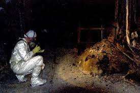 Arlington's most radioactive grave site