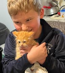 💔💔🙏🆘🆘This poor dog has being hit by a car