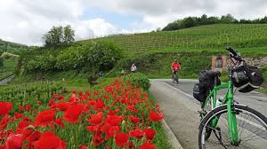 Her er 13 av landets beste og fineste sykkelruter, som tips til sykkelturer i risør. En Vennegjeng Pa Sykkeltur Tilbakemelding