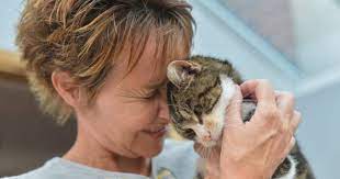 Missing Cat Returns Home After 13 Years Funny Cat Images Cats Happy Birthday Funny Cats