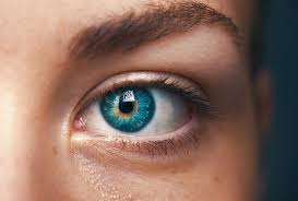 Liddermatitis Lidekzem Tipps Zur Behandlung Der Symptome