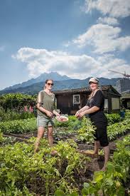 Garten Sharing Macht Glucklich Luzern Garten Kleiner Garten Schrebergarten
