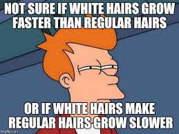 It is one activity that i can admit to since i. White Hair Problems Imgflip