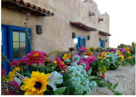 Las cruces' contemporary floral designers find their inspiration in the beauty of nature. Floriography S Emily Calhoun Grows And Designs With Local Flowers In New Mexico Episode 176 Debra Prinzing