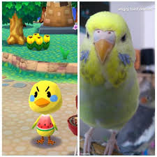 Pin By Thatha On Animal Crossing Memes Animal Crossing Memes Animal Crossing Animals