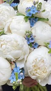 Maybe you would like to learn more about one of these? Pin On Flowers
