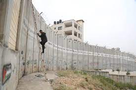 Israel mantiene atrocidades contra palestina hace más de 100 años. El Muro De Separacion De Israel Separa Incluso A Los Animales Y La Ocupacion Amenaza Al Medio Ambiente Local Monitor De Oriente