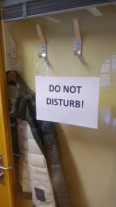 Harry benjamin inigo triggs was born in chiswick, london. Indigo Trigg Hauger On Twitter H Urdal Is Ready To Tackle The Impending Flood Of Peaceprize Interviews