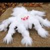 Giftigste spinne der welt 2020 : Https Encrypted Tbn0 Gstatic Com Images Q Tbn And9gcqjw978xehdiv4oh9akcucisxvseql Y1 N7dzbfwdsngm0nwq2 Usqp Cau
