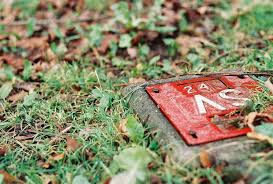 Finding Your Forever Camera