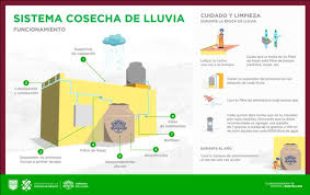 Lluvia, actividad eléctrica y presencia de granizo en algunas zonas. Asi Puedes Obtener En Cdmx El Subsidio De 50 Para Obtener Un Sistema De Captacion De Lluvia Infobae