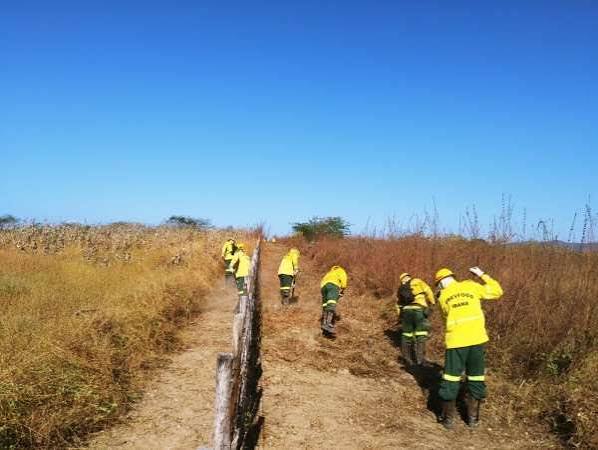 Qual o significado de aceiro? A sua queima controlada &eacute; crime ambiental? - Giro do Boi