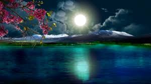 Beautiful Night Lakes Nature Background Wallpapers On Desktop Nexus Image 1989501 File_download frosty ground and trees at sunrise. background wallpapers on desktop nexus