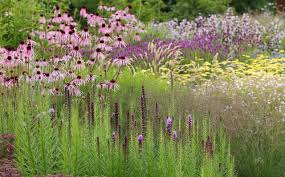 Pin Von Helia Land Design Auf Plant Combinations Garten Staudengarten Landschaftsdesign