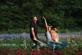 I cannot recommend carolina flowers enough! Dahlias And Pottery At Carolina Flowers The Laurel Of Asheville