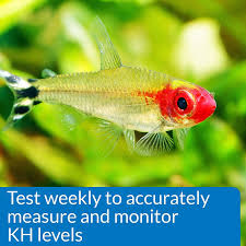 Small Salt Water Aquarium Helps Monitor Water Quality And Prevent Invisible Water Problems That Can Be Harmful To Fish In 2020 Water Quality Saltwater Aquarium Water