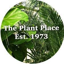 We did not find results for: The Plant Place Inc Plantplace Dfw Twitter