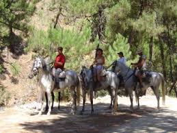 Check spelling or type a new query. Ruta A Caballo En El Valle De Lecrin 2h Ofertas Aventura Yumping Com