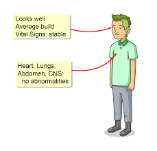 Image result for Dyschoriste transvaalensis