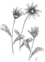 Hoe Teken Je Een Bloem In Simpele Stappen Bloemen Tekenen Tekenen Bloemen