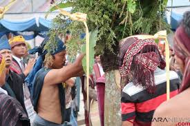 Maybe you would like to learn more about one of these? Ulaon Matumona Doa Keselamatan Masyarakat Batak Antara News