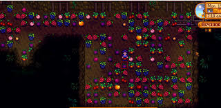 The parent company of fruits.my. Haven T Visited My Fruits Cave In Years Stardewvalleyexpanded