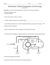 Cellular cellular breathing is the metabolic rate that launches stored strength from the you possess of organic. Worksheet Cellular Respiration And Cell Energy
