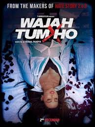 Wajah Tum Ho 2016 Hindi 720p Pdvdrip 700mb Download Free Movie Full Movies Online Free Download Movies Free Movies