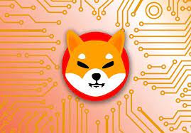 Earn Free Shiba Inu In 2021 Shiba Inu Shiba Inu