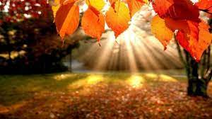 Guardarguardar sesiune_de_restante_toamna_2017.pdf para más tarde. EchinocÅ£iu De ToamnÄƒ 2017 Ziua EgalÄƒ Cu Noaptea Pe 22 Septembrie Cand Se Trece La Ora De IarnÄƒ