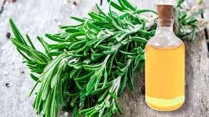 Kurutulmuş kekik yaprağı ve zeytin yağı veya badem yağı kullanarak, 1'e 1 oranında karıştırarark yapabilirsiniz. Kekik Yaginin Saca Faydalari Kekik Yagi Saca Nasil Uygulanir