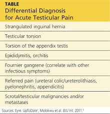 Image result for Cremasteric Reflex