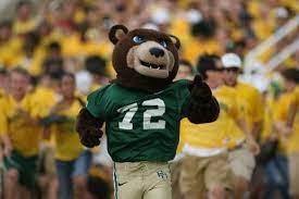 Why should you choose baylor university? Pin By Unisunn 144 College Football B On Baylor University Bears Baylor University Bears Bears Football Baylor Bear