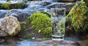 A camel can survive seven days without water, but not because they are carrying large reserves inside their humps. Raw Water Is Risky Treated Water Is Dead So What S The Solution Mitte
