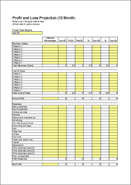 12 Month Profit And Loss Profit And Loss Statement Statement Template Profit