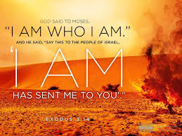 Exodus 3 14 Exodus 3 Exodus Message Bible Did you scroll all this way to get facts about exodus 3 14? exodus 3 14 exodus 3 exodus message