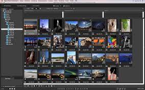Http Gdlp01 C Wss Com Gds 1 0300016231 17 Digital Photo Professional 4 10 Instruction Manual Mac De Pdf