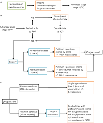 I talked to my gyn/onc today and he has set me up for a ct on 3/25. Epithelial Ovarian Cancer Evolution Of Management In The Era Of Precision Medicine Lheureux 2019 Ca A Cancer Journal For Clinicians Wiley Online Library