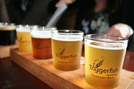 Triggerfish Brewery Inside The Paardevlei Area Strand Just South Of The N2 And Close To The Somerset Mall A Former Dy International Beer Day Beer Day Beer