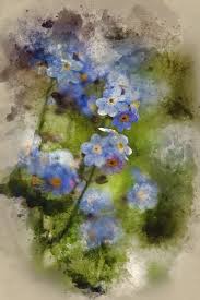 We did not find results for: Watercolour Painting Of Beautiful Forget Me Not Spring Flowers With Textured And Vignette Effect Add Photograph By Matthew Gibson