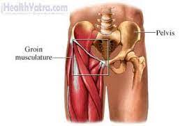 Related online courses on physioplus. Groin Strain Definition Causes Symptoms Complications And Cost Surgery Treatment Hospital In India