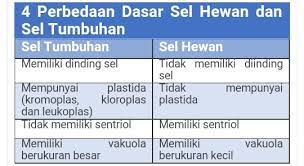 We did not find results for: Apa Perbedaan Sel Hewan Dan Sel Tumbuhan Brainly Co Id