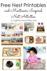 200+ amazing montessori activities and free printables. Free Nest Printables And Montessori Inspired Nest Activities Living Montessori Now